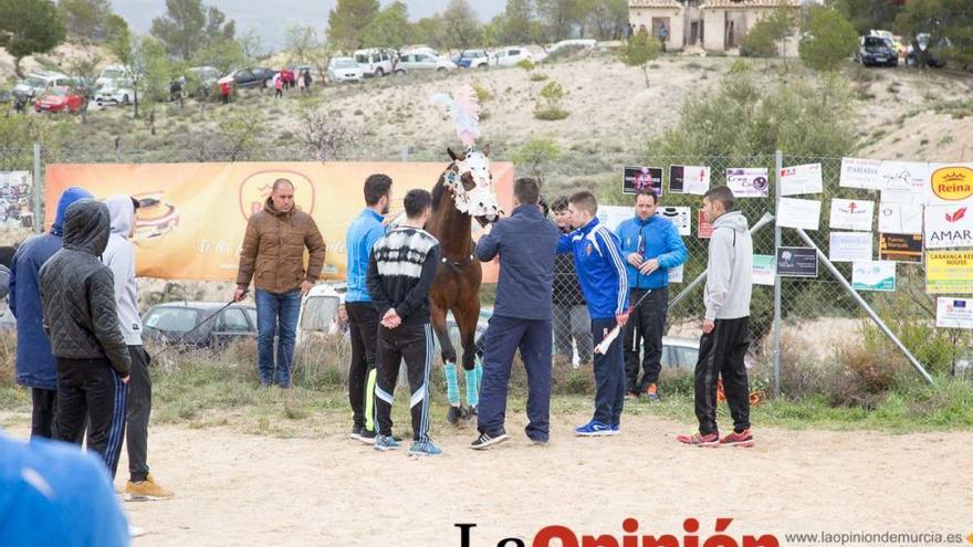 Jornada de convivencia caballista Peña Artesano