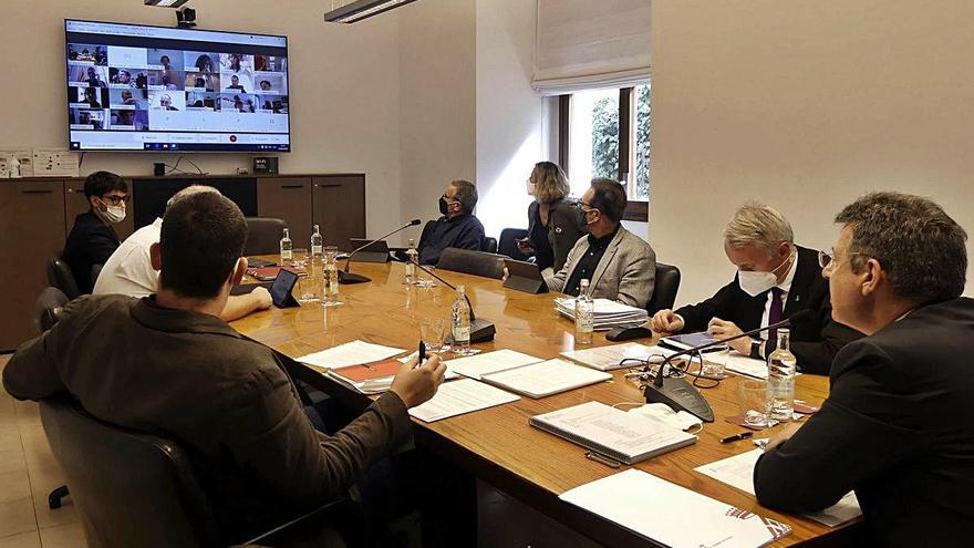 El ple d&#039;ahir, celebrat de forma telemàtica.