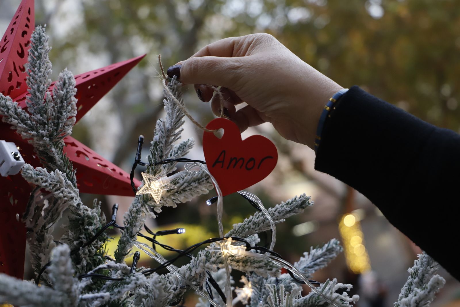 Acto captación de fondos de Cáritas Diocesána de Córdoba, en imágenes