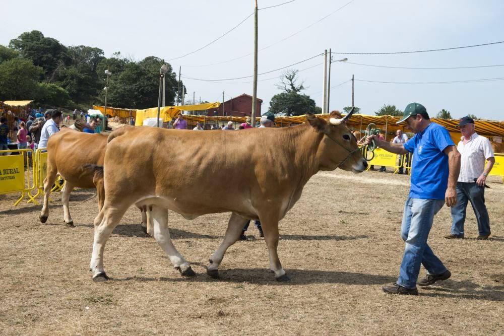 Feria de ganado en Santullano