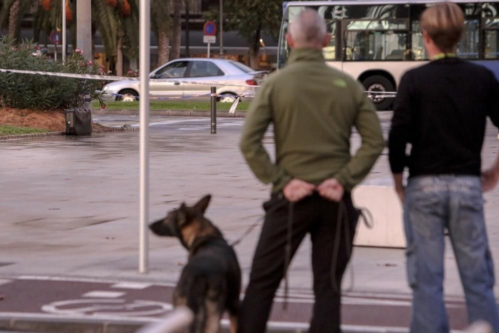 Am Sonntagnachmittag (13.11.) sperrte die Guardia Civil auf Mallorca Palmas Paseo Marítimo, um einen herrenlosen Koffer auf mögliche Sprengsätze zu prüfen. Ein speziell ausgebildeter Polizeihund näher