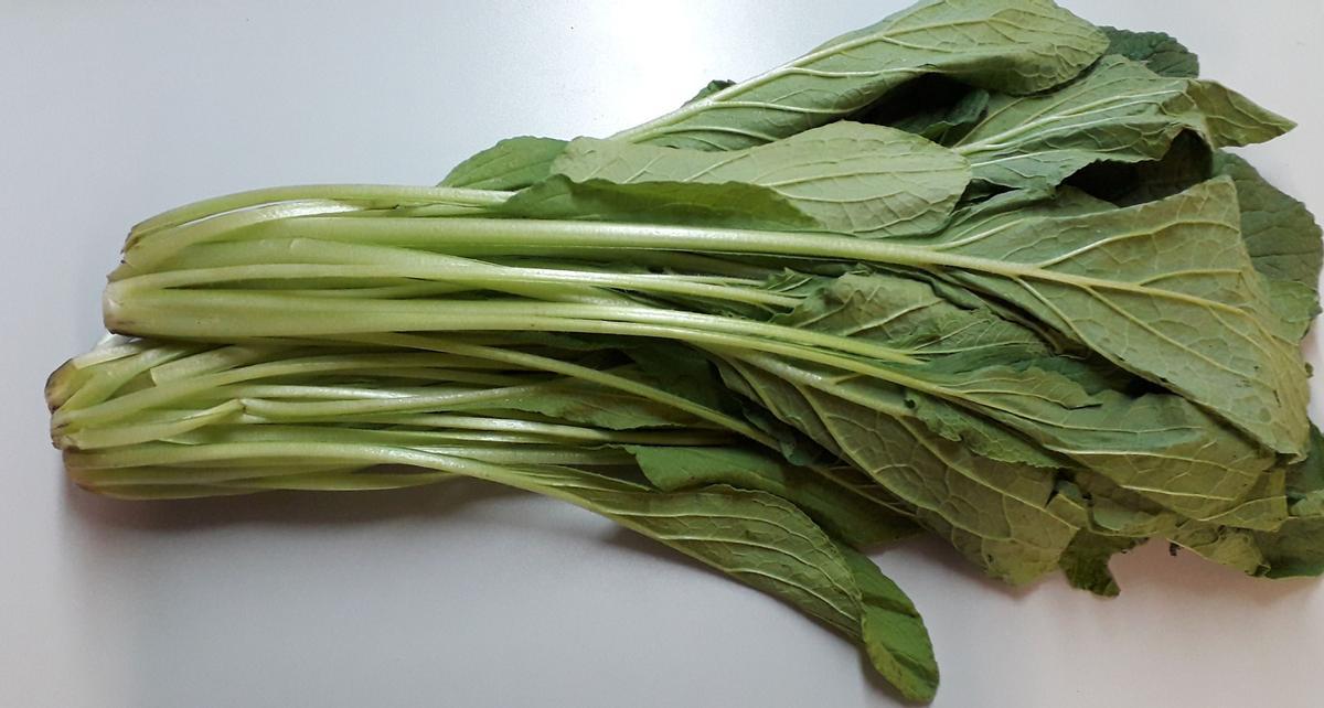 La mata de borraja completa, con hojas y tallos.
