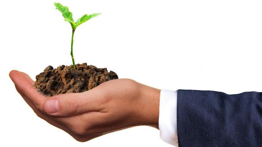 La economía circular, clave en la tarea de cuidar el medio ambiente.