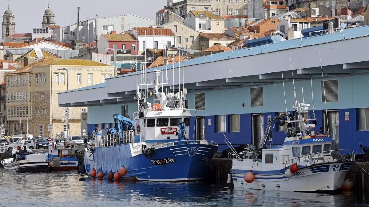 Barcos de cerco y artes menores amarrados en el Puerto de Vigo.