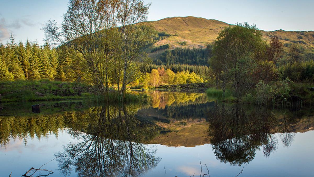 Una imagen de la Reserva Natural Highland Titles, en el Bosque de Glencoe, Escocia