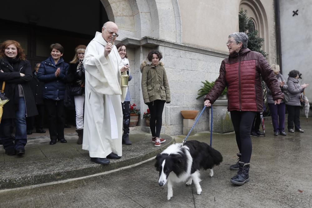 Benedicció dels animals per Sant Antoni a Girona