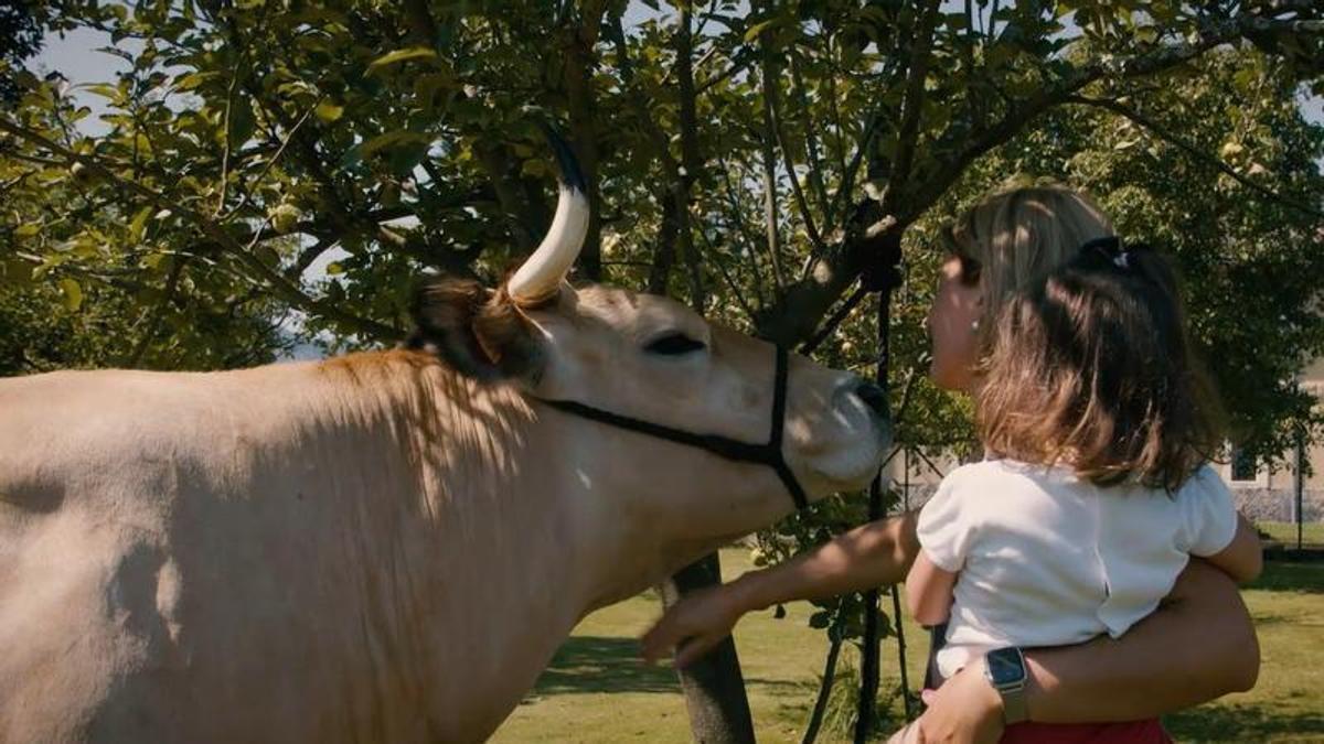 Mujeres rurales, presente y futuro de Ternera Asturiana