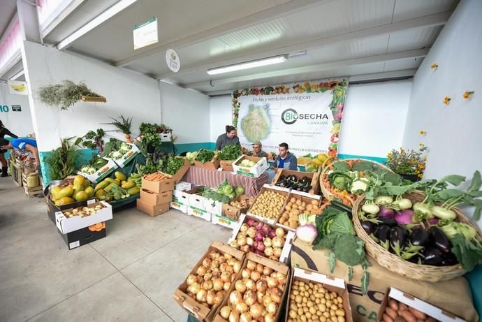 Feria Ecológica de Gran Canaria