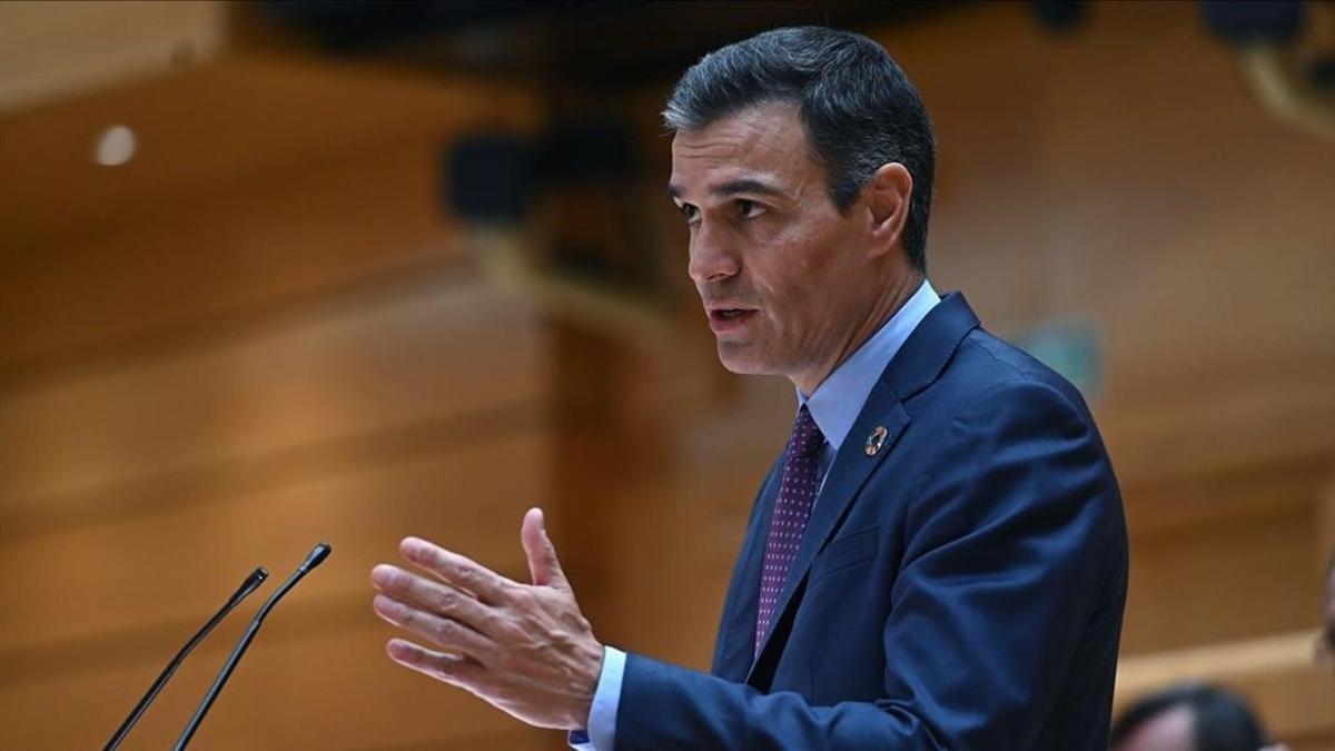 El presidente del Gobierno, Pedro Sánchez, este 8 de septiembre durante el pleno extraordinario en el Senado.