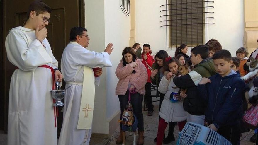 San Antón bendice a más de 130 mascotas