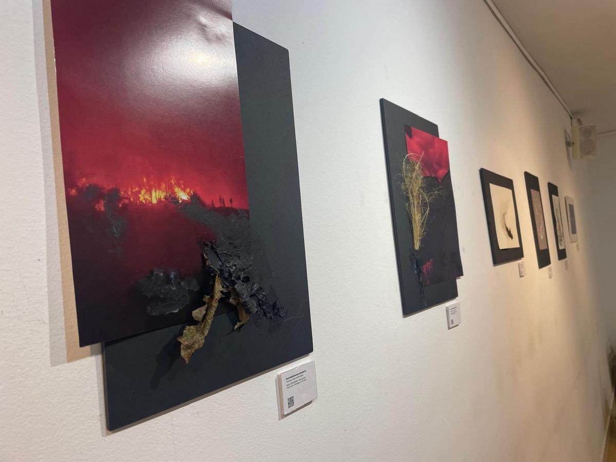 Parte de las obras que se exhiben en la exposición inaugurada en Madrid.