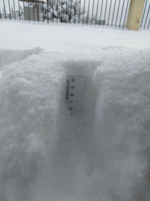 Paisatge matinal nevat a la Catalunya Central