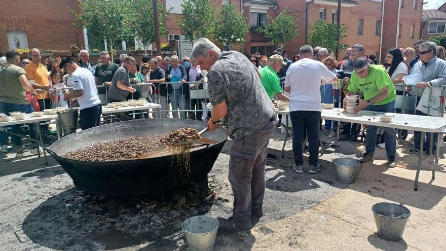 Sant Jordi es prepara per cuinar 300 quilos de cargols en una nova edició del Roseret