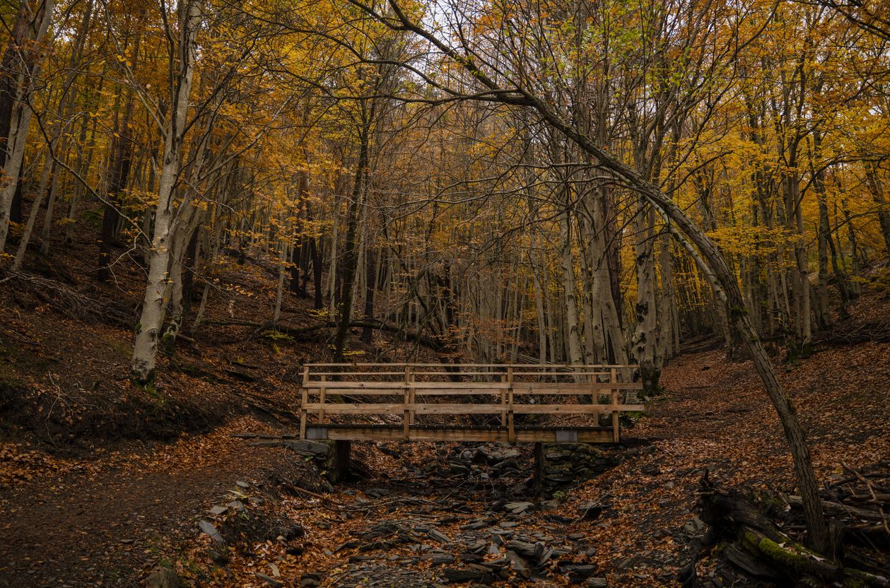 Es una de las rutas más bonitas para hacer en otoño.