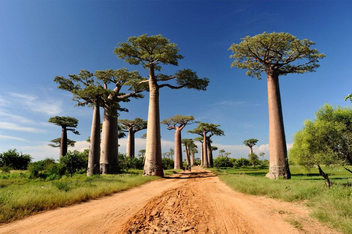 El cambio climático amenaza joyas naturales únicas en el mundo