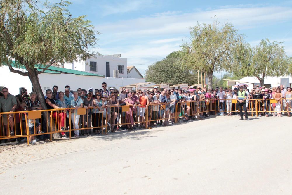 Fiesta de la Siega del Arroz