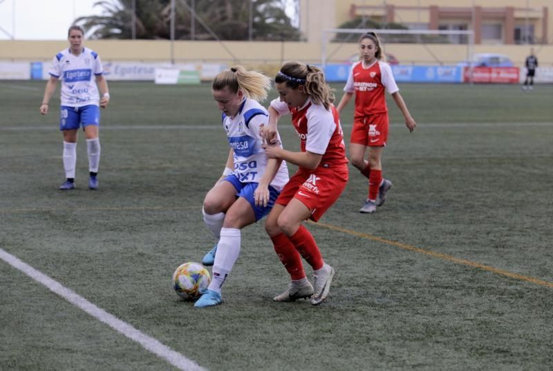 Fútbol (Liga Iberdrola): Granadilla Egatesa-Sevilla  | 11/01/2020 | Fotógrafo: Delia Padrón