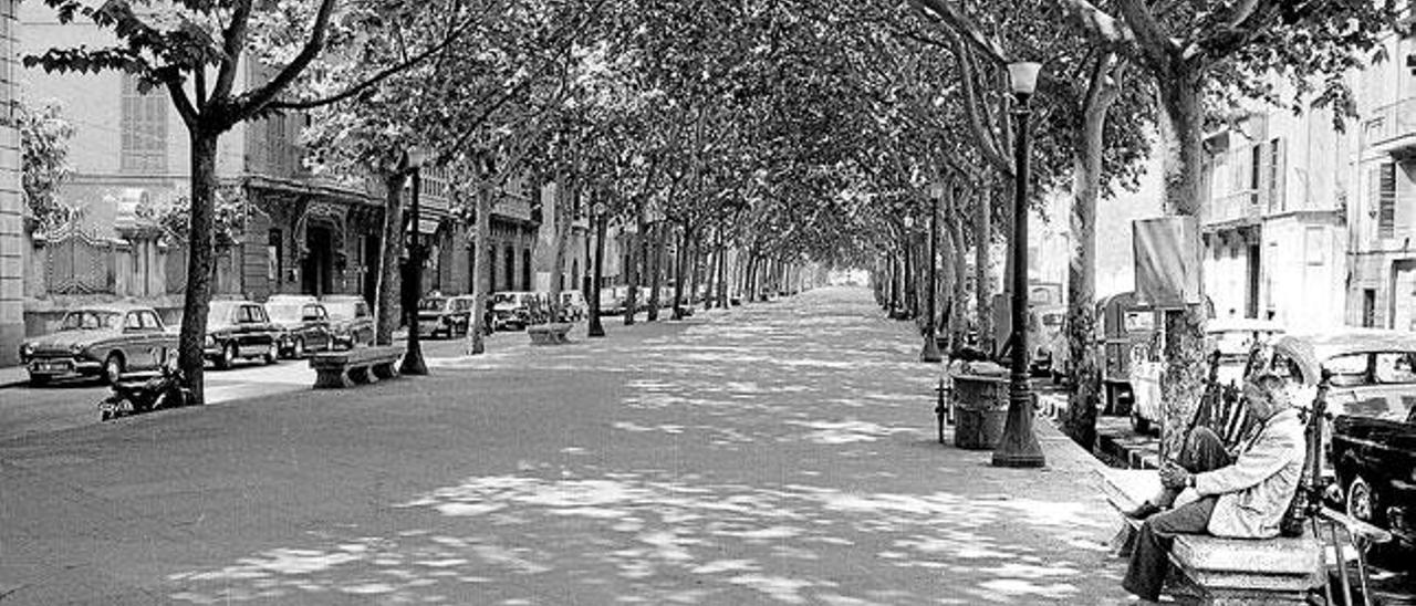 Solo un paseo libre de obstáculos.