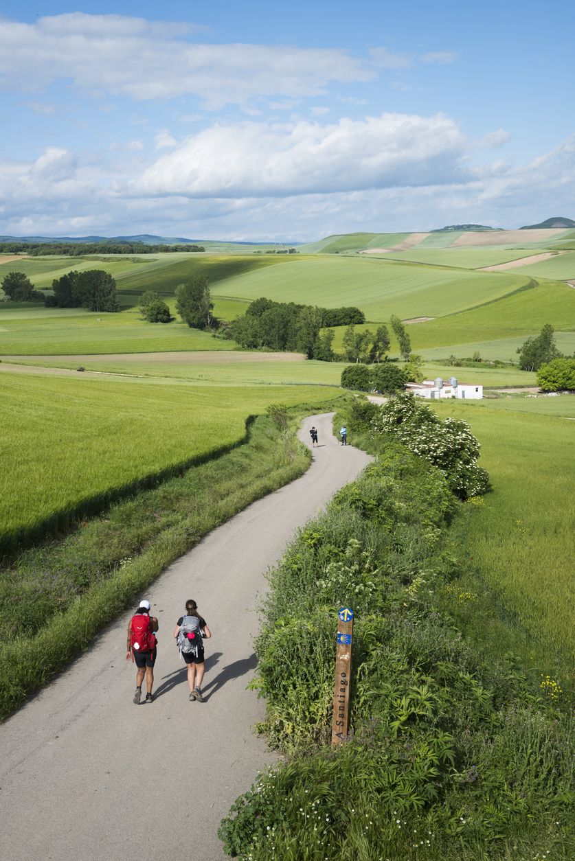 Imagen del Camino de Santiago desde arriba.