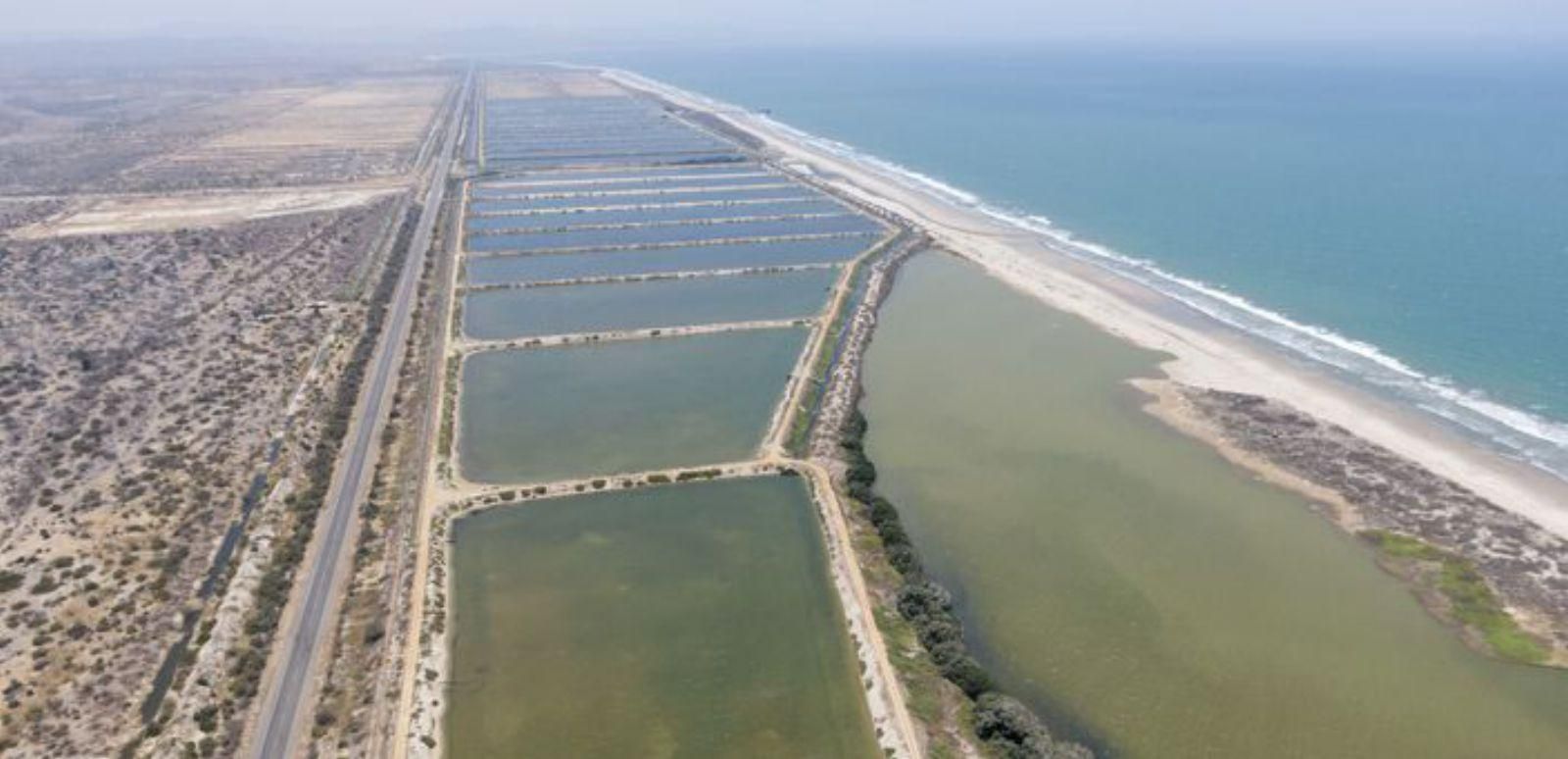 Piscinas de cría en agua marina
