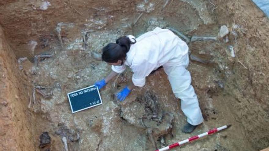 Trabajos de exhumación en una de las fosas de Paterna.