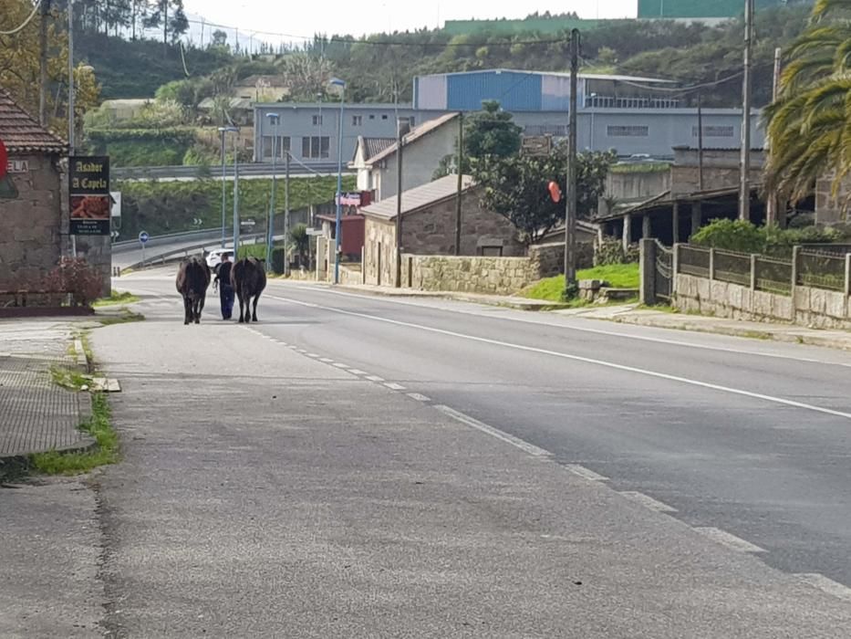 La comarca en el Día del Padre más triste.