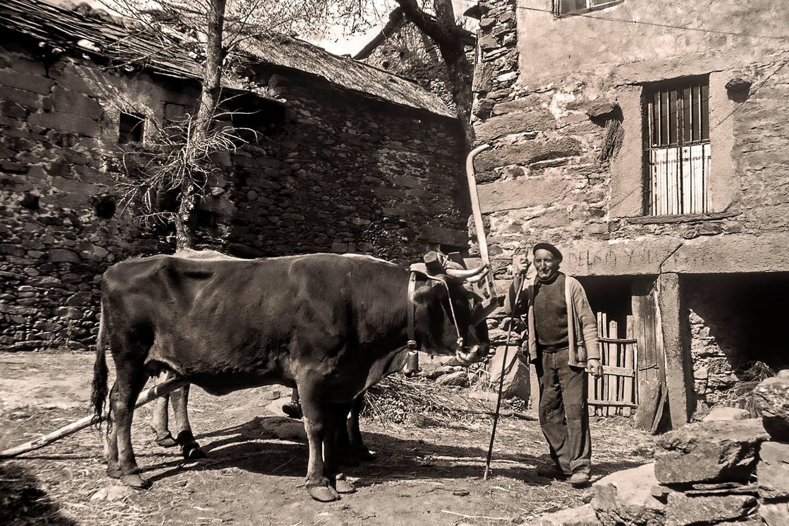 San Cipri�n de Sanabria (Zamora). 1981..jpg