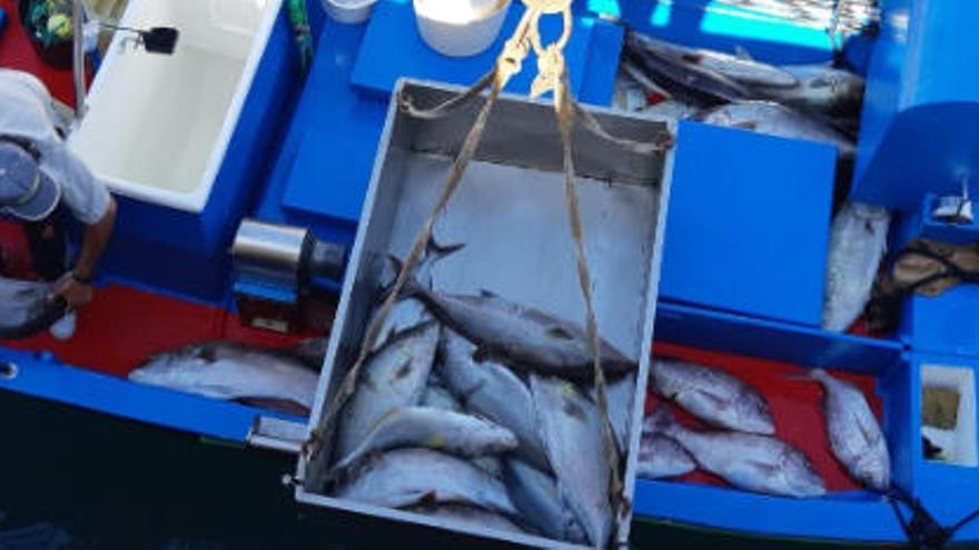 Maniobras de retirada de los pescados atrapados en la nasa.