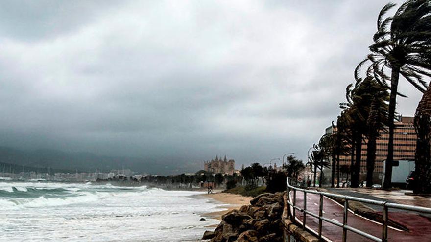 Mallorca, en alerta amarilla por vientos de hasta 80 kilómetros por hora