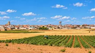 Entramos en el pueblo con “el vino más cotizado de España”