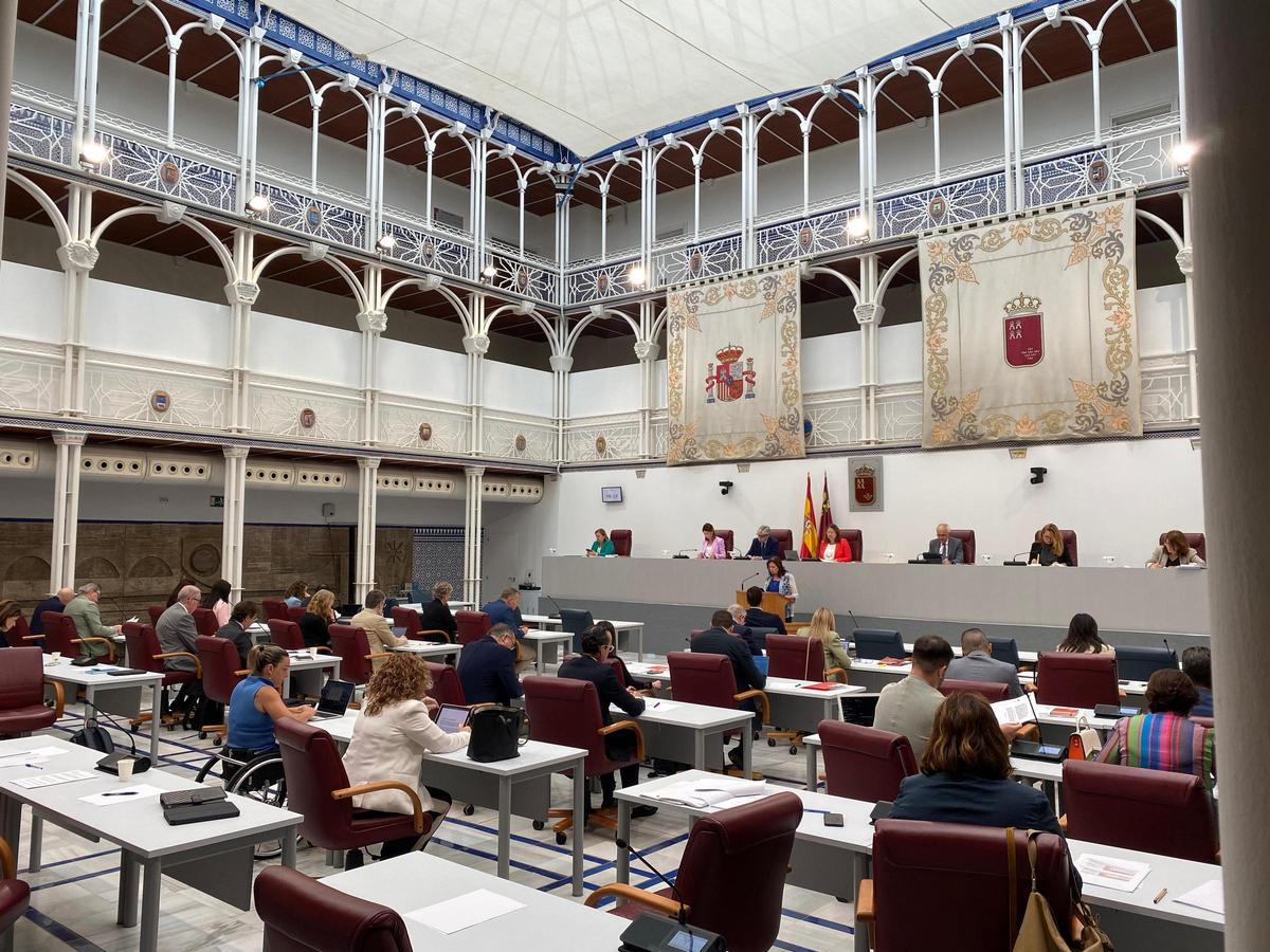 Un momento de una sesión celebrada en la Asamblea Regional.