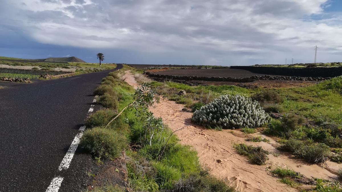 Agua de lluvia en el barranco de Los Valles, en el municipio de Teguise, Lanzarote (5/2/2021)