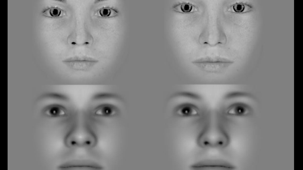 Los videos de lapso de tiempo de rostros de hombres y mujeres que se transforman de jóvenes a viejos demuestran cómo el cerebro se retrasa al procesar los cambios visuales.