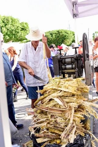 II Feria del Aguacate en Arguineguín