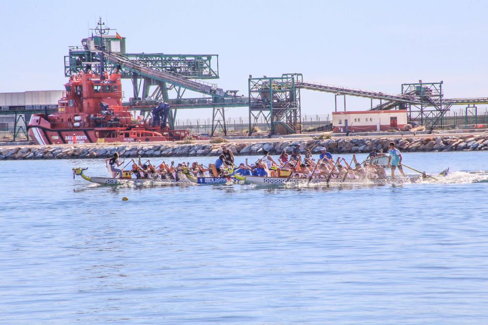 Lo dragones toman la bahía de Torrevieja