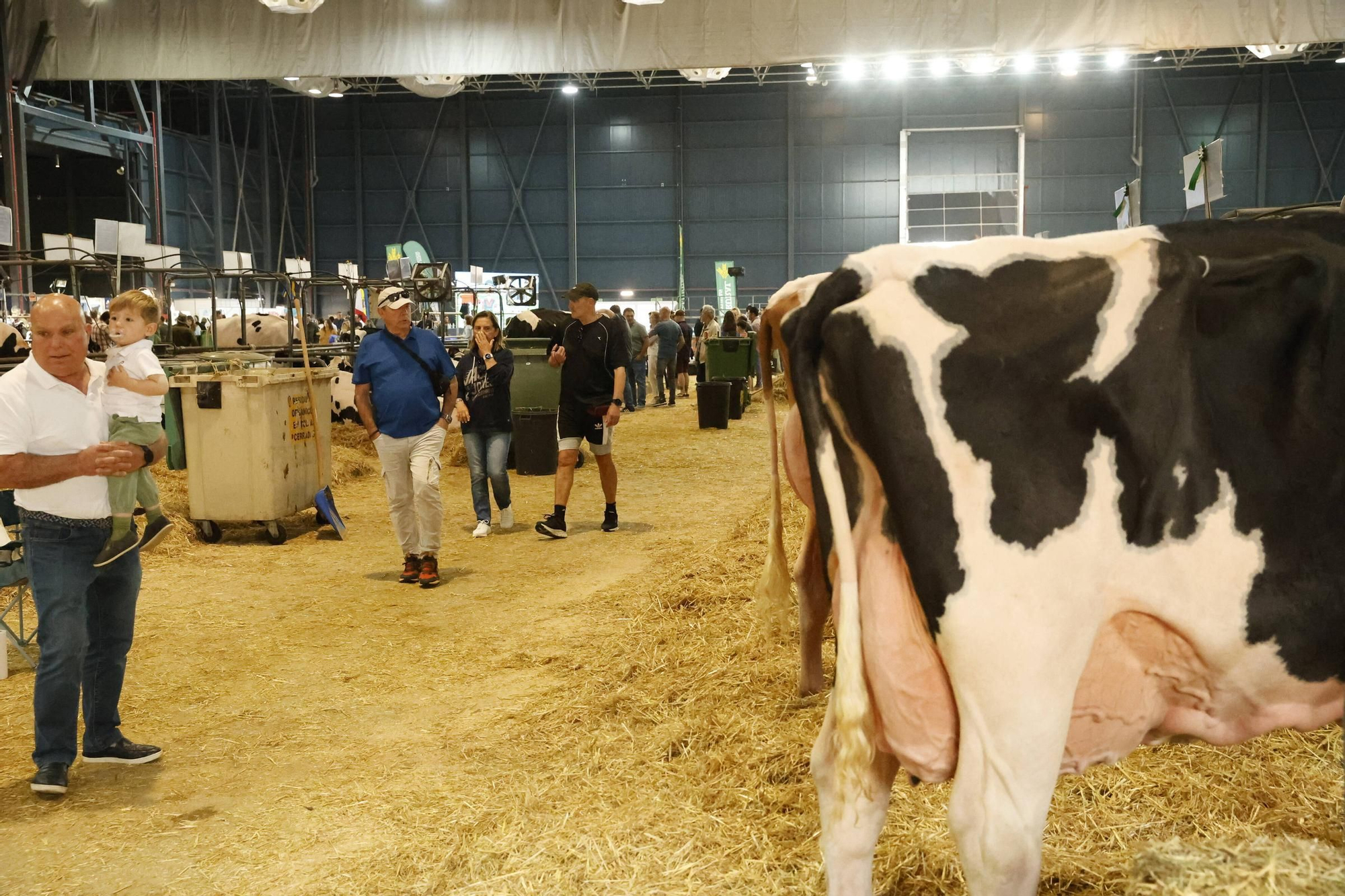 El último día de la Feria de San Antonio en Gijón, en imágenes