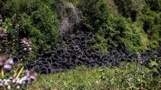 Arrojados más neumáticos en el vertedero ilegal de Collserola: los vecinos se organizan para vigilarlo