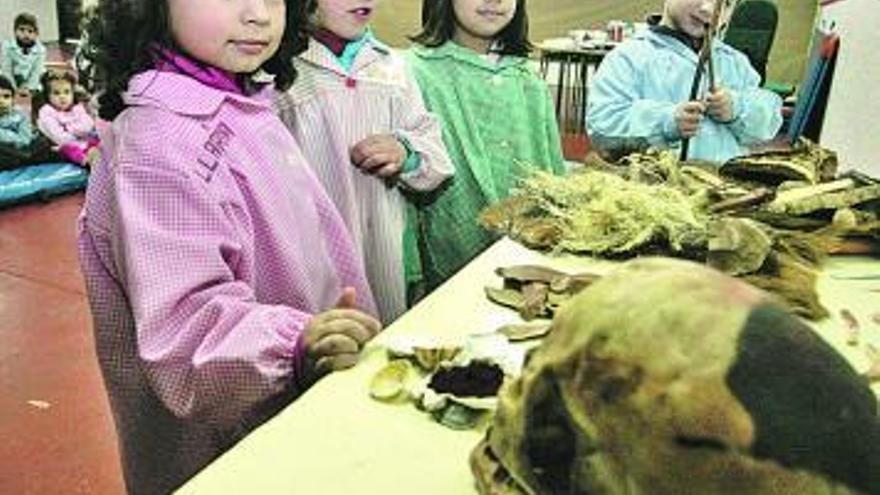 Los alumnos de Infantil, ayer, en uno de los talleres.