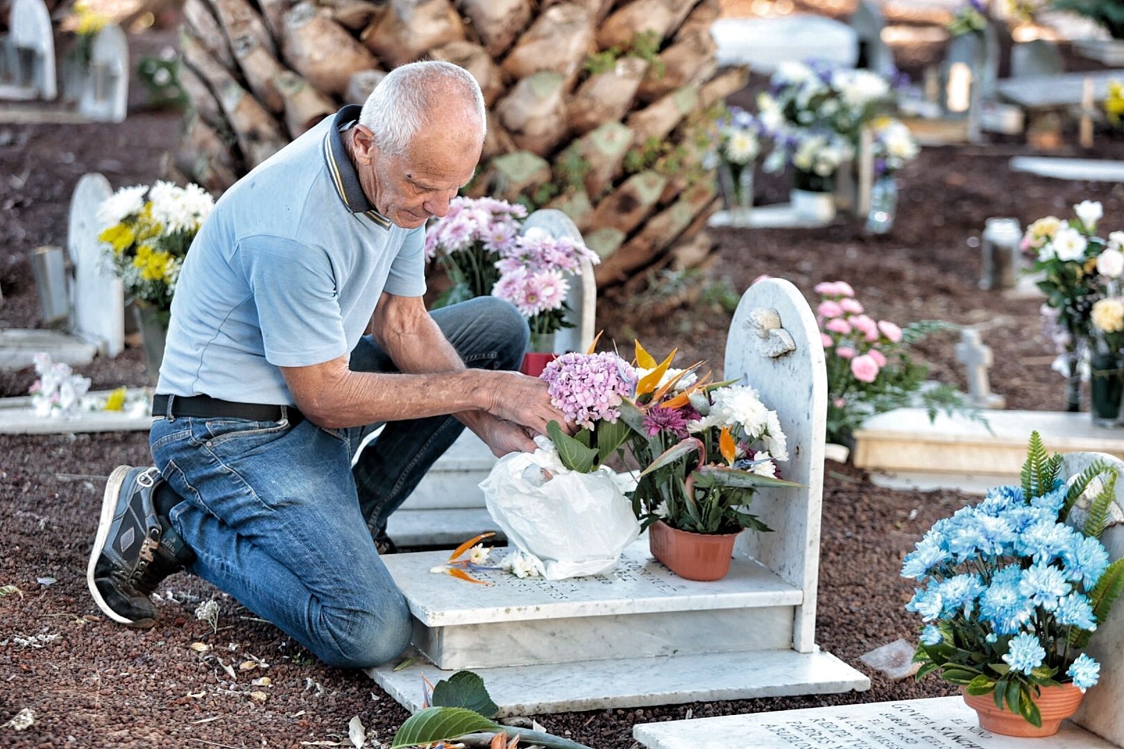 Cementerio de San Juan (La Laguna)