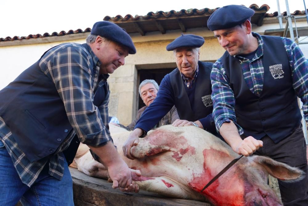 Donsión celebra por todo lo alto su Matanza Tradicional do Porco
