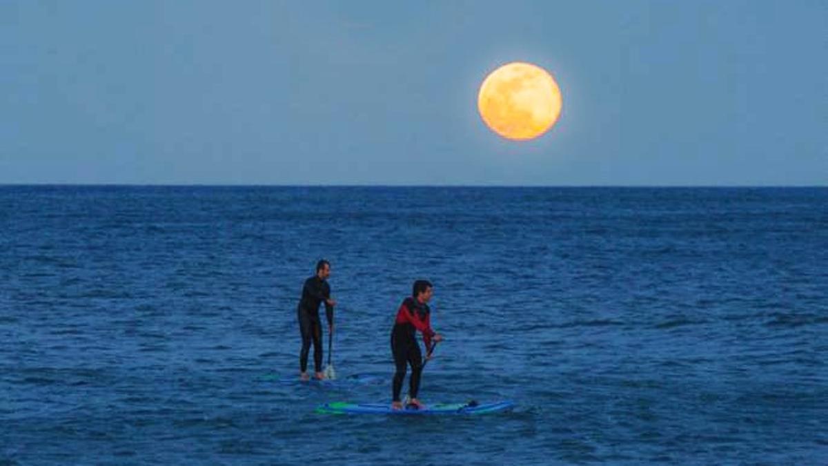 Paddle surf con luna llena en Blue Salt School.