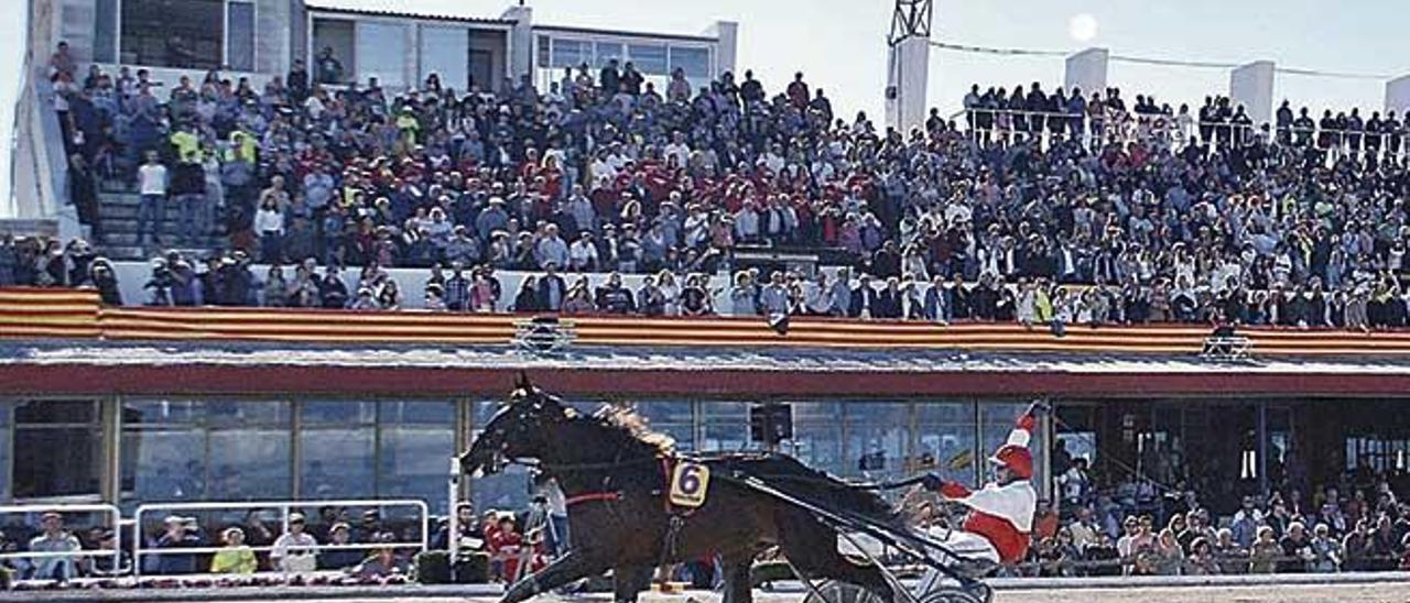 Gin Tònic Duran, con Guillem Andreu, en el momento de imponerse en el &#039;86è Gran Premi Nacional&#039; ante la gran tribuna del Hipòdrom Son Pardo.