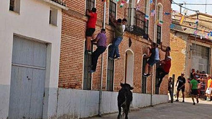 Bravura en las calles de Castrillo