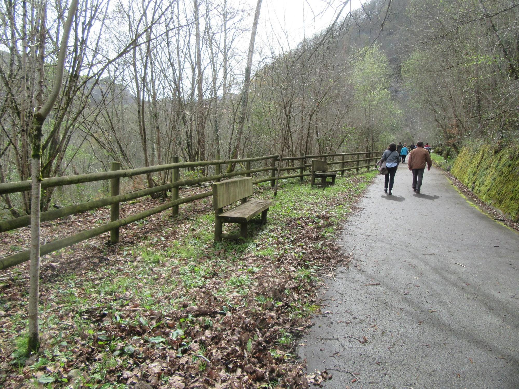 La senda de Muñigu a Covadonga, muy deteriorada