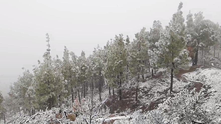 Así nieva en el Mirador del Pico de las Nieves