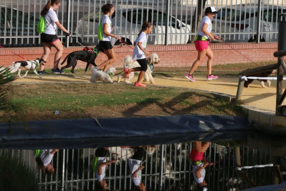 El Parque Huelin ha acogido la primera edición de un evento destinado a las mascotas y a sus dueños, con carreras en diversas categorías, actividades gratuitas y numerosos stands