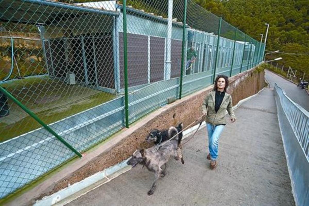 Instal·lacions de l’actual i insuficient centre d’animals de companyia de Barcelona, a la carretera de l’Arrabassada, el novembre de l’any passat.