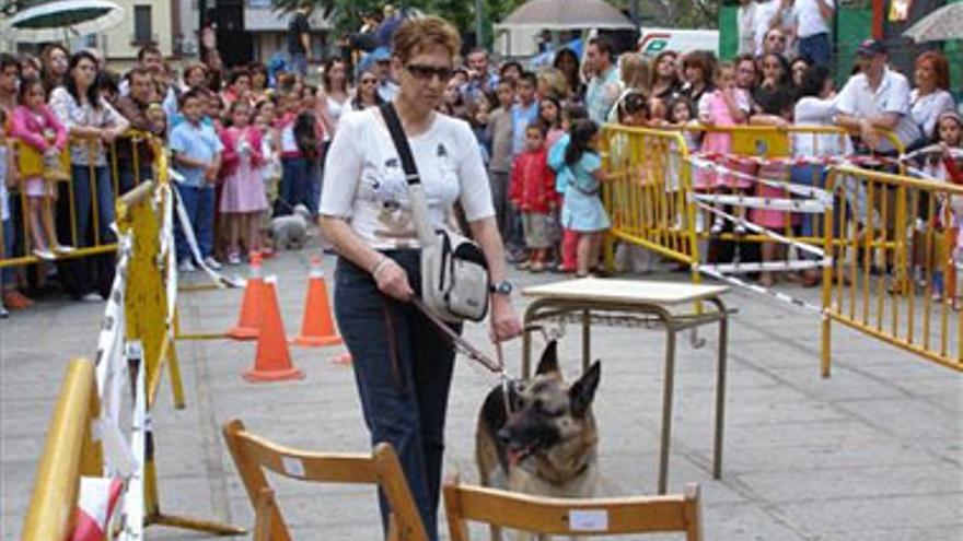 Inician una campaña a favor de la adopción de perros abandonados