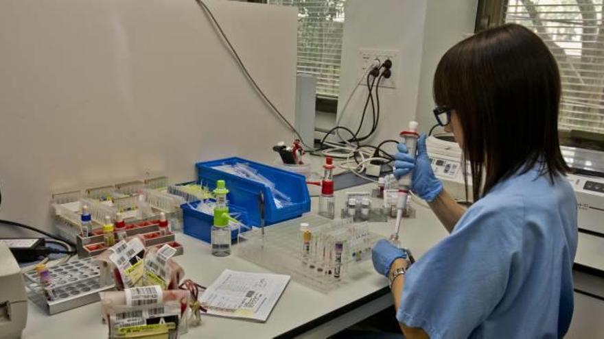 Un laboratorio del Hospital General de Elche.