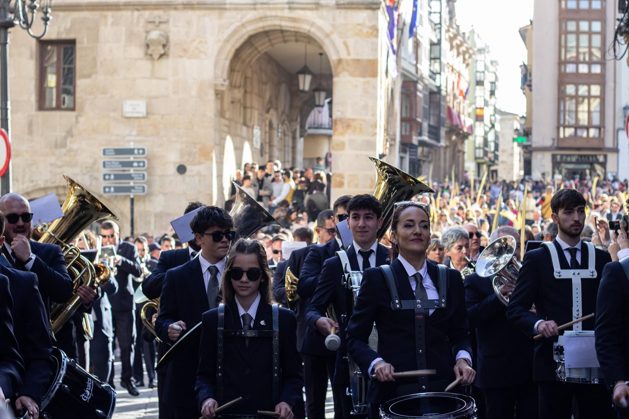 ZAMORA.DOMINGO DE RAMOS